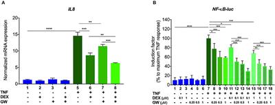 Mechanisms Underlying the Functional Cooperation Between PPARα and GRα to Attenuate Inflammatory Responses